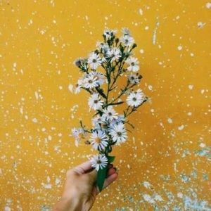 Meet your Posher, Jaden